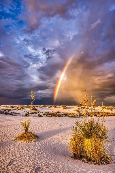 Jaynes Gallery 아티스트의 USA-New Mexico-White Sands National Park Thunderstorm rainbow over desert작품입니다.
